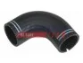 Патрубок інтеркулера Citroen Jumper/Fiat Ducato 1.9TD, 2.8JTD/Peuget Boxer 2.8HDi 02- FT61704