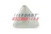 Покажчик повороту Renault Kangoo II (08-) білий (FT87351) Fast