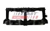 Панель передня RENAULT TRAFIC III (EG) 15-; FIAT TALENTO (296) 16-; NISSAN NV300 (X82) 16- FT89207