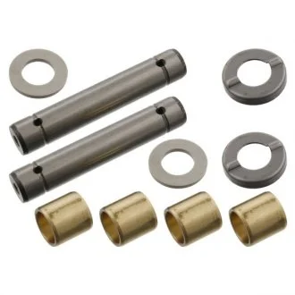 Ремкомплект шкворня FEBI BILSTEIN 01153