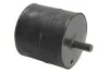 Подушка двигуна BMW 520 / BMW 525 FEBI BILSTEIN 04076 (фото 2)