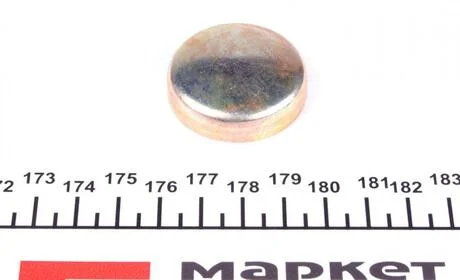 Заглушка двигуна d=36mm FEBI BILSTEIN 07294 (фото 1)