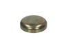 Заглушка блока 24 мм VW Golf 1,8 88-96 /Passat 2,0Tdi 03-11/Audi 80 1.6 88-93 FEBI BILSTEIN 08390 (фото 1)