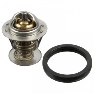 Термостат з ущільнюючим кільцем FEBI BILSTEIN 173096