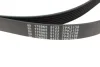 Ремінь генератора поліклиновий FEBI BILSTEIN 176965 (фото 2)
