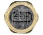 Датчик тиску масла BMW X5 (E70)/X6 (E71/E72) 07- FEBI BILSTEIN 182656 (фото 2)