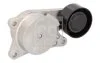 Натягувач поліклинового ременя HYUNDAI KONA, KONA/SUV, KIA CEED, PICANTO III, PROCEED, XCEED 1.0 03.17- 186101