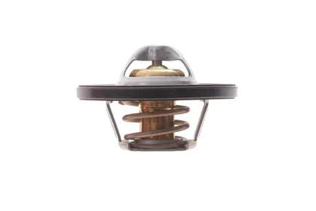 Термостат з ущільнюючим кільцем FEBI BILSTEIN 193096 (фото 1)