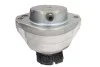 Подушка двигуна (FEBI) FEBI BILSTEIN 24096 (фото 2)