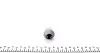 Гайка колеса M14x1,5mm ключ 21 FEBI BILSTEIN 26287 (фото 2)