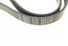 FEBI Ремень П-клиновой 6PK1113 FEBI BILSTEIN 28924 (фото 4)