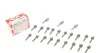 Комплект болтов ГБЦ 49851