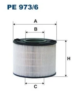 Фільтр палива FILTRON PE 973/6