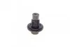 Пробка масляного поддона (M14x1.5/ L 13.5) Citroen Jumper/Ford Focus/Transit/Escort 92- 256.850.001