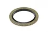 Пробка масляного поддона M18x1.5x21 (Fischer) Fischer Automotive One (FA1) 866.371.011 (фото 2)
