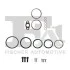 FISCHER BMW Комплект прокладок турбокомпрессора 5 (F10) M 550 d xDrive, 5 (F10) M 550 d xDrive, 7 (F01, F02, F03, F04) 750 d xDrive, X5 (E70) M 50 d, X5 (F15, F85) M 50 d, X6 (E71, E72) M 50 d, X6 (F16, F86) M 50 d KT100590