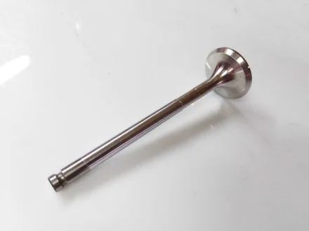 Клапан двигуна FRECCIA 4979