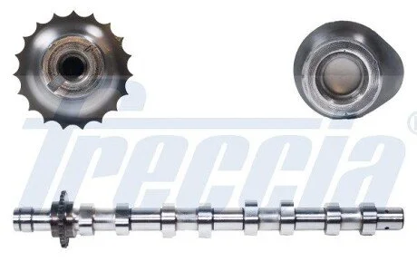 Распредвал CITROEN/PEUGEOT 1,6HDI 04- EX FRECCIA CM05-2146