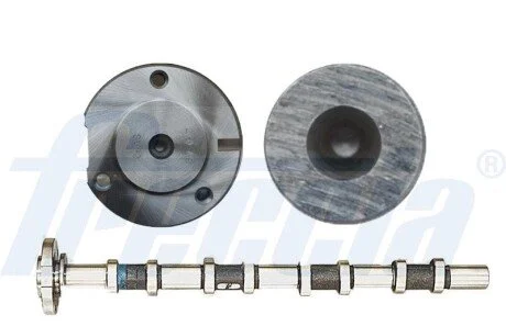 Вал распределительный FORD TRANSIT 2.4 D 00-06 FRECCIA CM05-2169