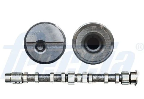 Вал распределительный FORD FOCUS 1.8 TD FRECCIA CM05-2197