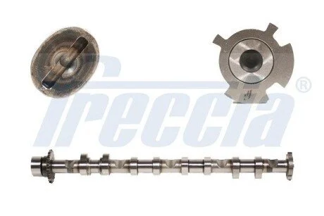 Распредвал VAG 2.0FSI IN FRECCIA CM05-2248