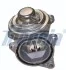 Клапан EGR EGR12-101