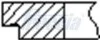 Кільця поршневі HYUNDAI STD 77,00 mm. 1 cyl. FRECCIA FR10-240900 (фото 2)