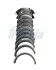 Підшипник ковзання FIAT 1,4 \&#039;04- FRECCIA MB19-102107 (фото 1)