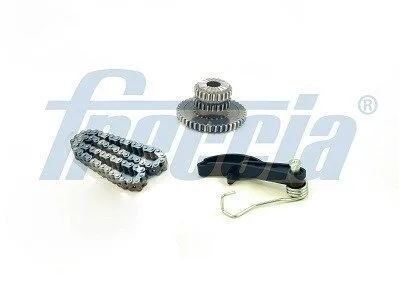 Комплект цепи ГРМ VW GOLF 1.8 TSI\&#039;09-12 KIT POMPA OLIO FRECCIA TK08-1155 (фото 1)