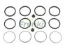 Ремкомплект гальмівного супорта  ROVER 100 / METRO (XP) 90-98 236003