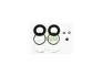 Ремкомплект гальмівного супорта  AUDI A2 00-05;NISSAN ALMERA II 00-;RENAULT GRAND SCENIC II 04- 248097