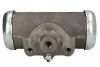 Тормозной цилиндр FTE R5098A1 (фото 1)