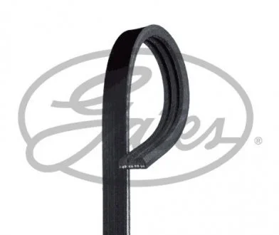 Ремень поликлиновый Gates 3PK800
