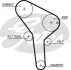 Пасок ГРМ 137z Skoda Felecia 1.9D 95-02 / VW Polo 1.7SDI-1.9SDI 97-01 5564XS