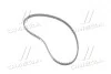 Пасок ГРМ 104z Citroen Berlingo 96-/Peugeot Partner 02- 5575XS