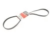 Поликлинные ремни Micro-V (Выр-во Gates) 5PK1425