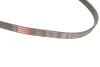Поликлинные ремни Micro-V (Выр-во) Gates 5PK1425 (фото 3)