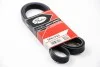 Ремень генератора 5PK1750 Kangoo 1.4/1.6i GATES 5PK1750
