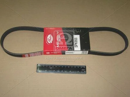 Ремень поликлиновый Gates 5PK955