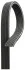 PASEK WIELOKLINOWY KIA STINGER 3.3 17- 6DPK2065