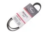Ремень генератора OM601/602 (-PS)/Polo/Fabia 1.4TDI Gates 6PK1000 (фото 2)