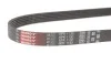 Ремінь Gates 6PK1130 (фото 2)