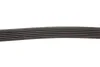 Ремінь Gates 6PK1130 (фото 3)