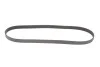 Ремінь Gates 6PK1130 (фото 4)