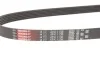 Ремень генератора Caddy III/T5 1.9TDI 03 (-AC) Gates 6PK1138 (фото 2)