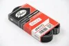 Ремень генератора Jumper/Boxer/Ducato 2.0/2.2 HDi 02- Gates 6PK1173 (фото 3)
