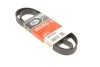 Ремень поликлиновый Gates 6PK1255