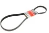 Ремень генератора Berlingo/Partner 1.6HDI (-AC) ch.10571&gt; Gates 6PK1368 (фото 1)