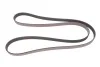 Доріжковий пас 6PK1855
