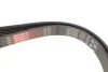 Ремінь Gates 6PK2203 (фото 2)